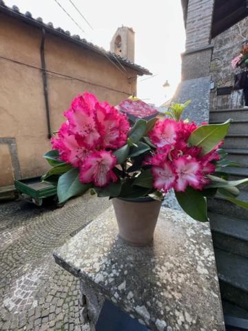 La Rocchetta Sutri Exterior foto